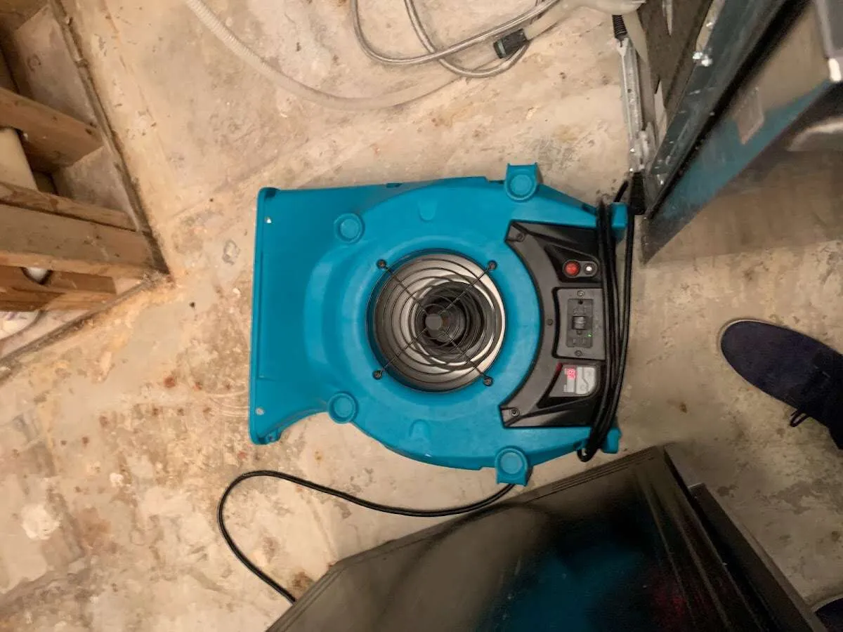Air mover drying equipment for Mold Remediation & Removal in Washougal