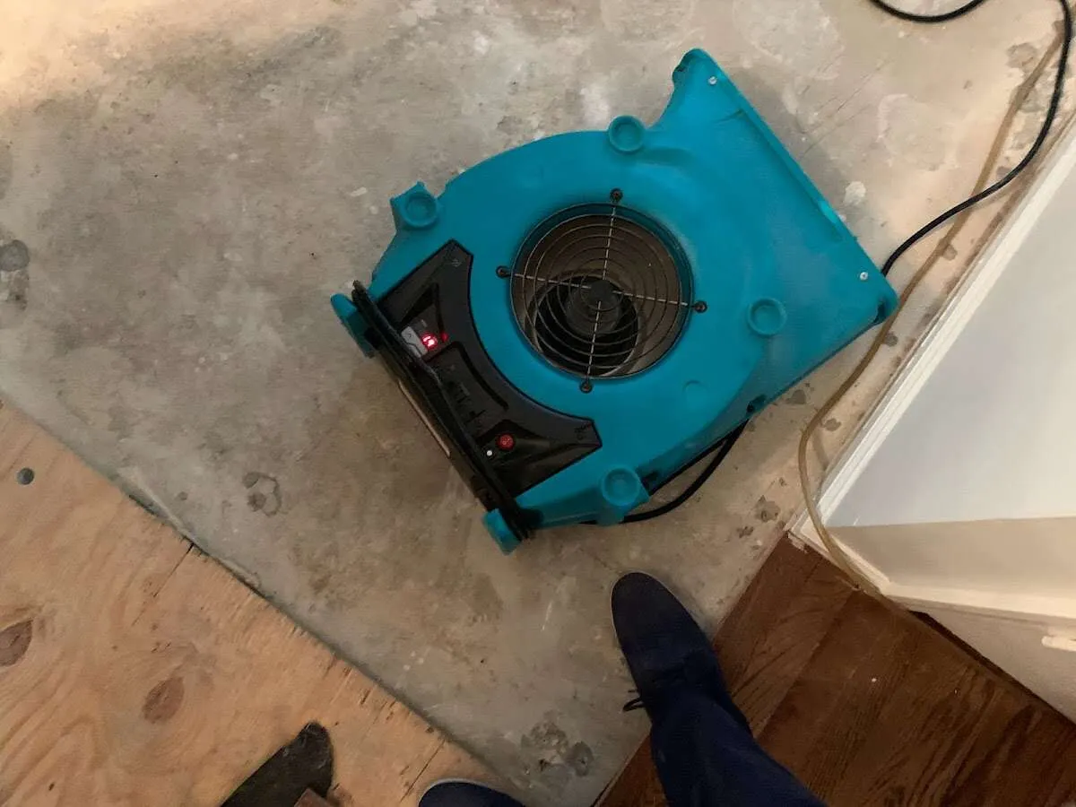 Air mover drying subfloor during Leak Detection & Repair in Washougal